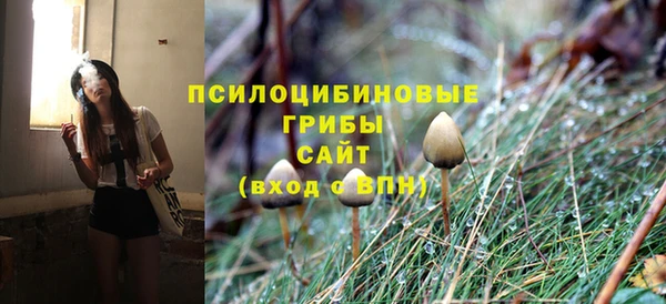 мяу мяу мука Баксан
