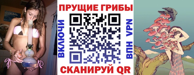 Псилоцибиновые грибы GOLDEN TEACHER  Острогожск 