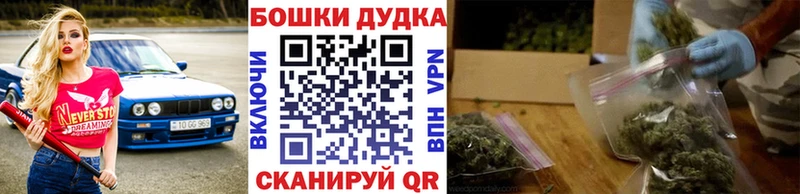 где продают наркотики  МЕГА ссылки  МАРИХУАНА индика  Острогожск 